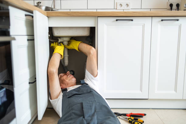 Best Water Softener Installation  in Warrensburg, MO